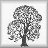 Family Tree