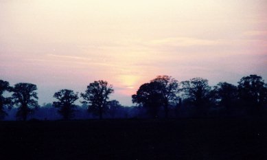 Local Sunset